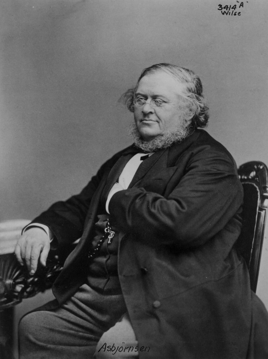 Anders Beer Wilse, Asbjørnsen