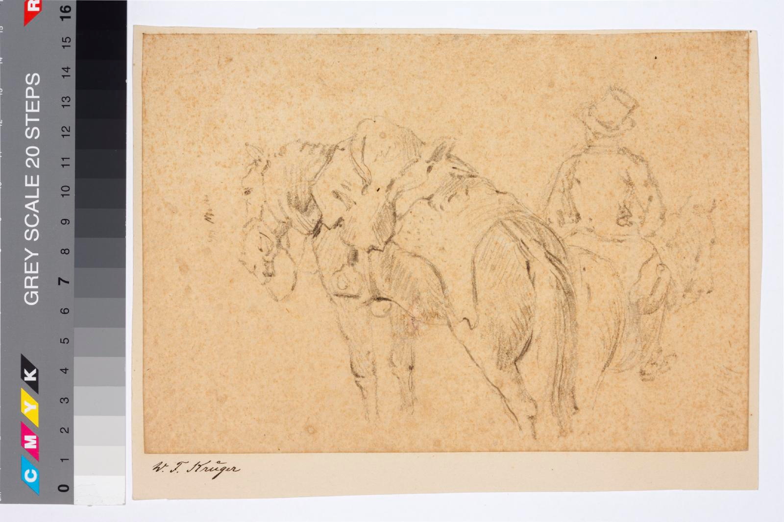 Woldemar Friedrich (author) Krüger, Horse and horseman