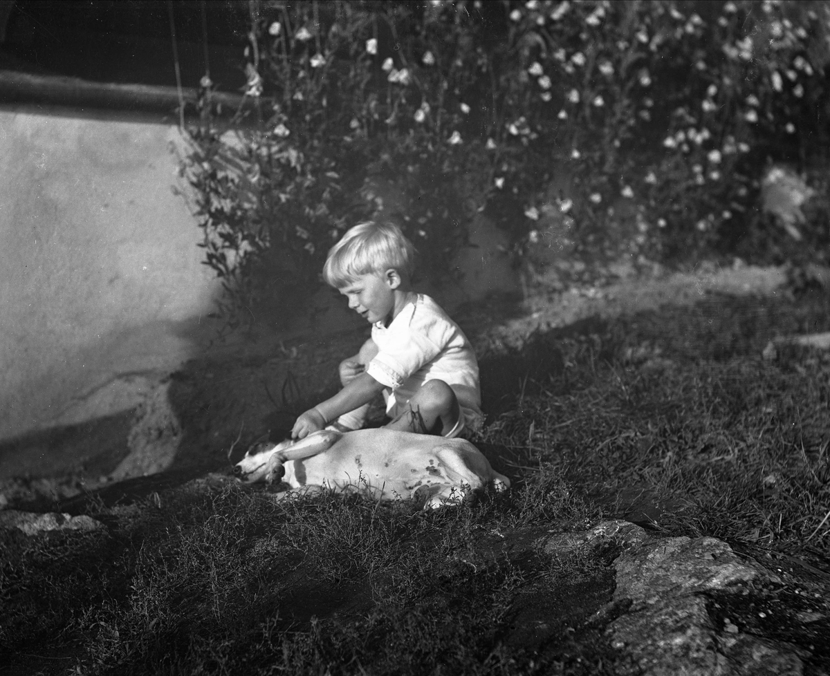 Gustav Borgen, Liten gutt utendørs i hagen, klør liggende hund.