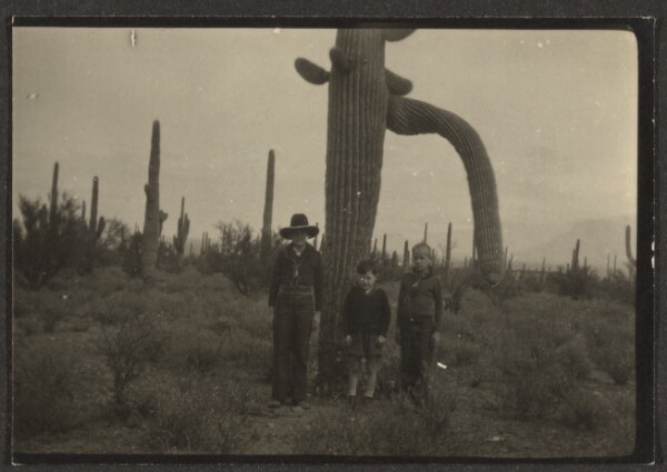 Louis Fleckenstein, [Figures with Cactus]