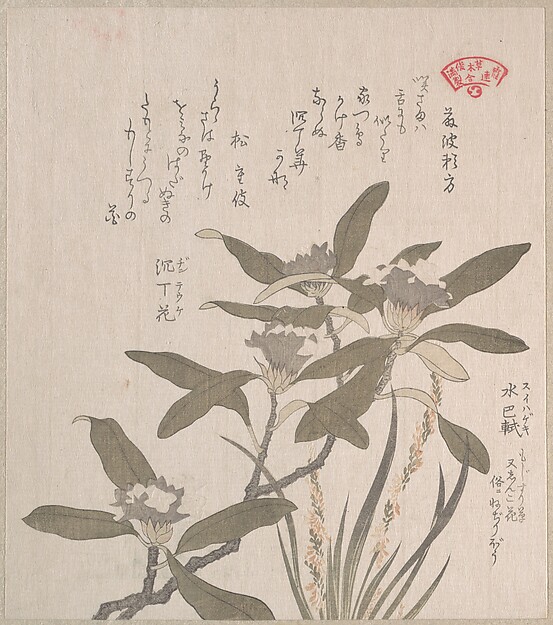 Kubo Shunman, Daphne odora and Mojisuri-so