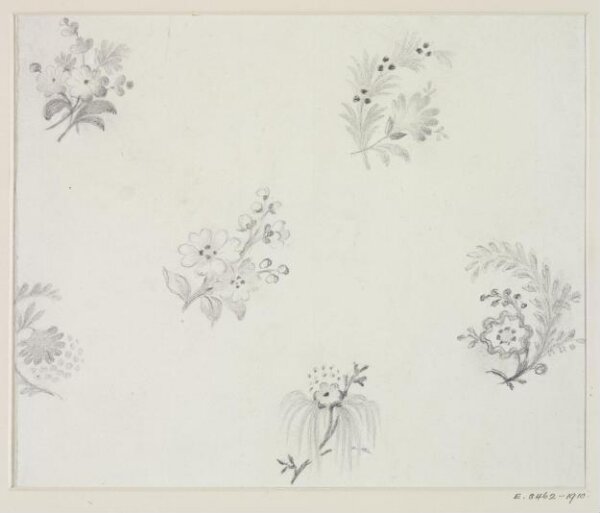 Unknown, Drawing