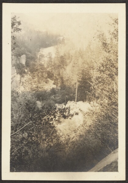 Louis Fleckenstein, [Woodsy Landscape]