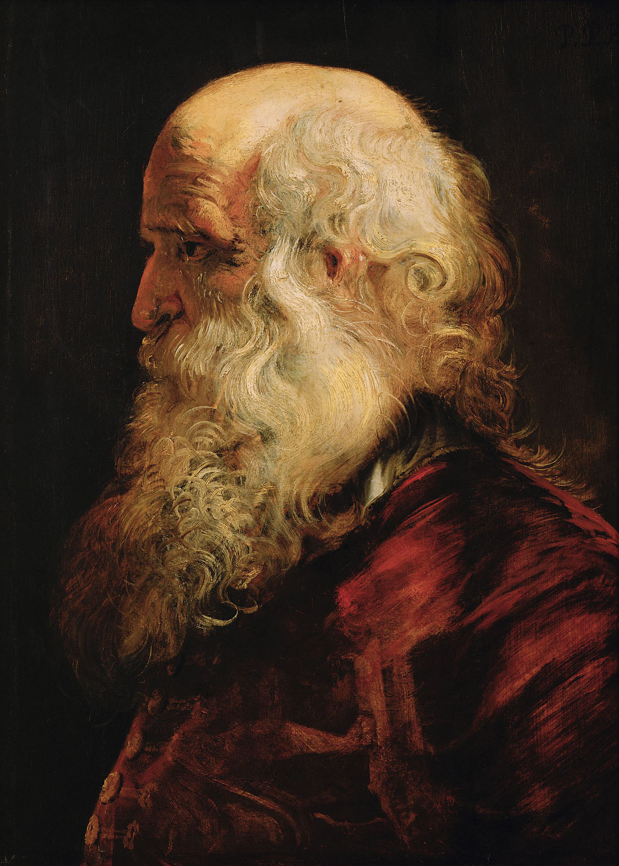 Peter Paul Rubens, Study of the Head of an Old Man