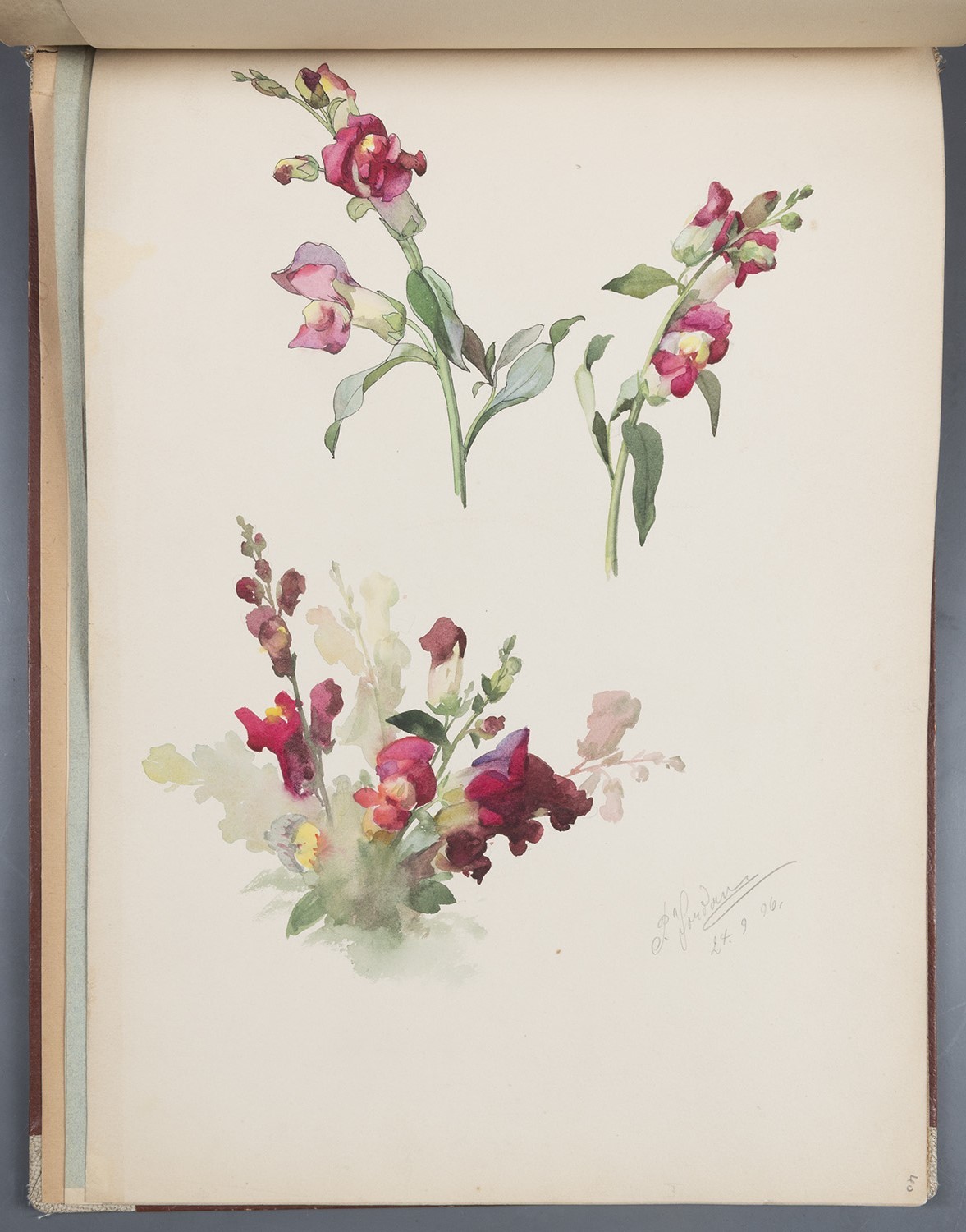 Paul Jordan, Blumen: Löwenmäulchen-Blüten