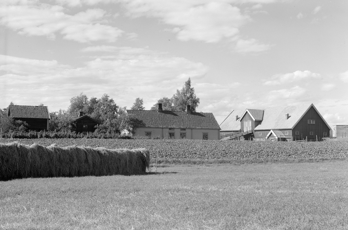 Anno Domkirkeodden, EKSTR: GARDSTUN, FINSTAD LILLE ØSTRE. Se Løtenboka, bind 3. Bygdeboka fra 1955, side 82
