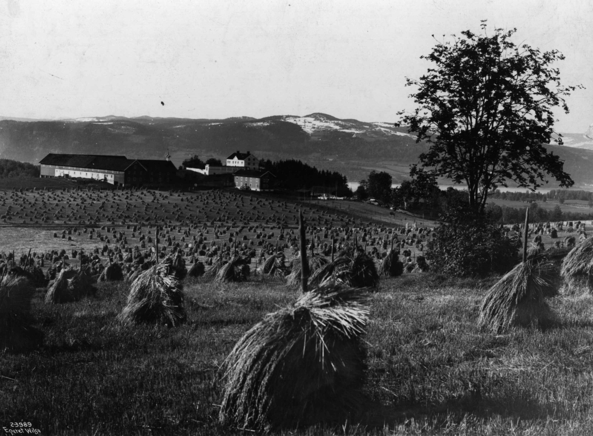 Anders Beer Wilse, Skredshol
