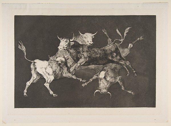 Goya (Francisco de Goya y Lucientes), 'Little Bulls' Folly' from the 'Disparates' (Follies / Irrationalities, Plate D)