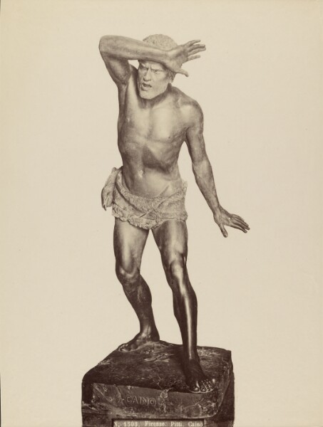 Unknown, Firenze, Pitti, Caino