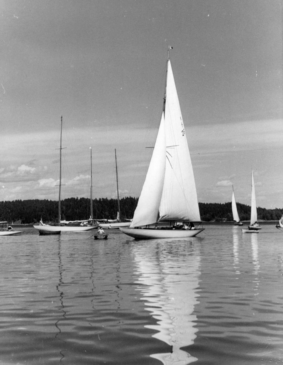 Anders Beer Wilse, Seilsport