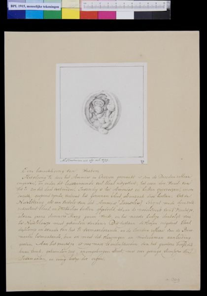 M Houtman, Embryo