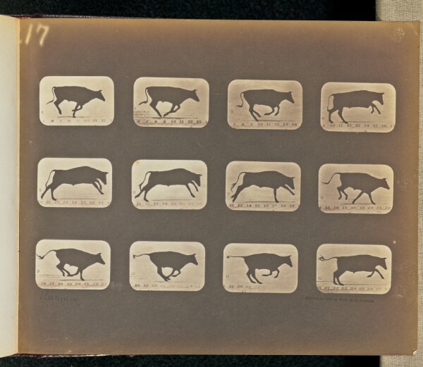 Eadweard J. Muybridge, Running