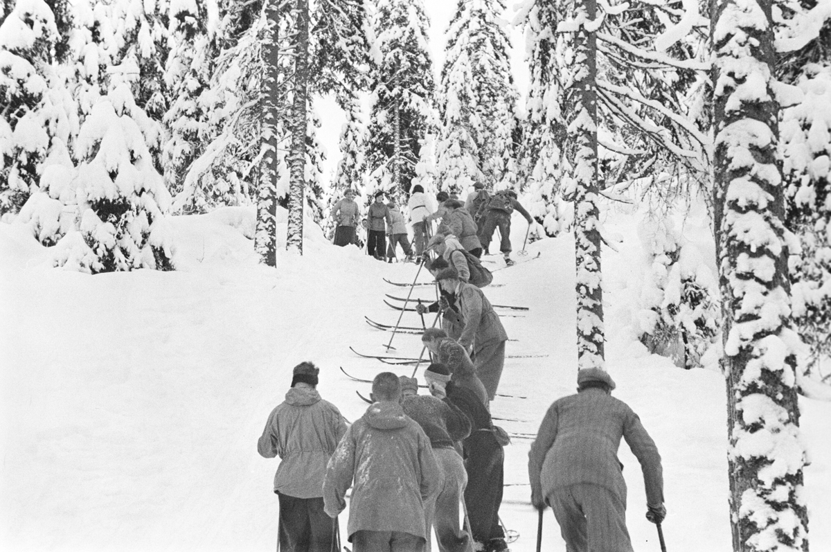 Anders Beer Wilse, Prot: Nordmarka