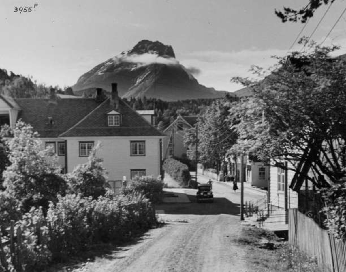 Anders Beer Wilse, -6959