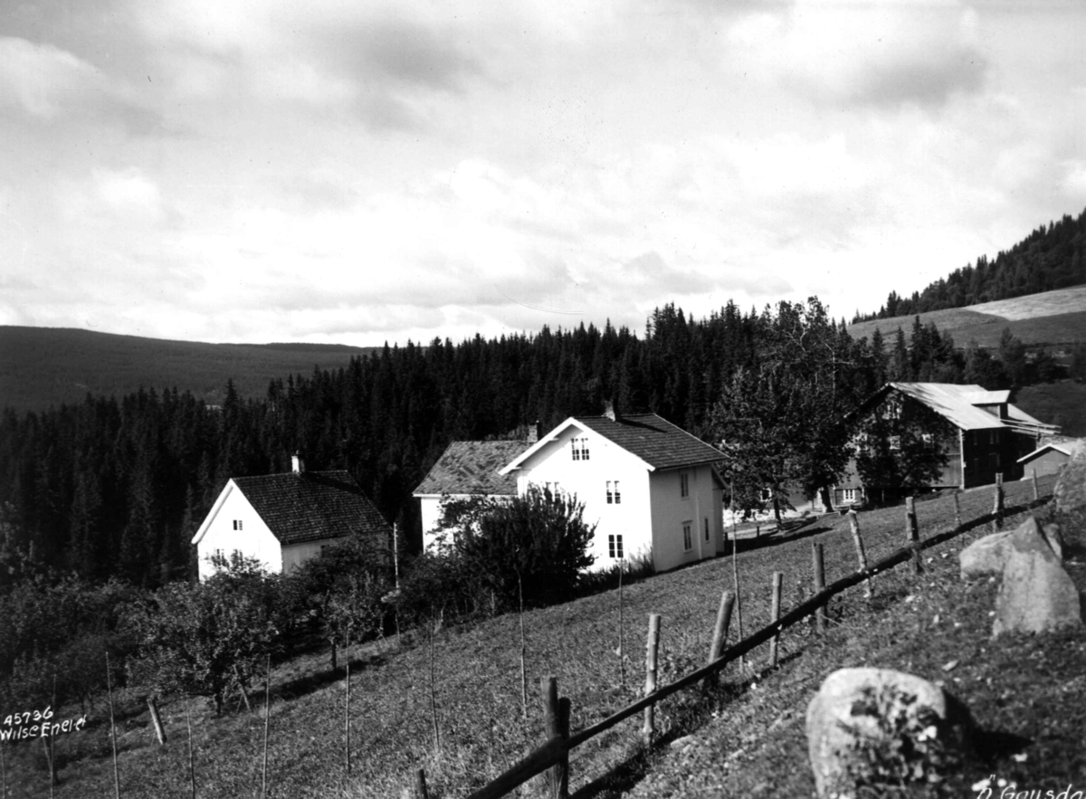 Anders Beer Wilse, Landbruk