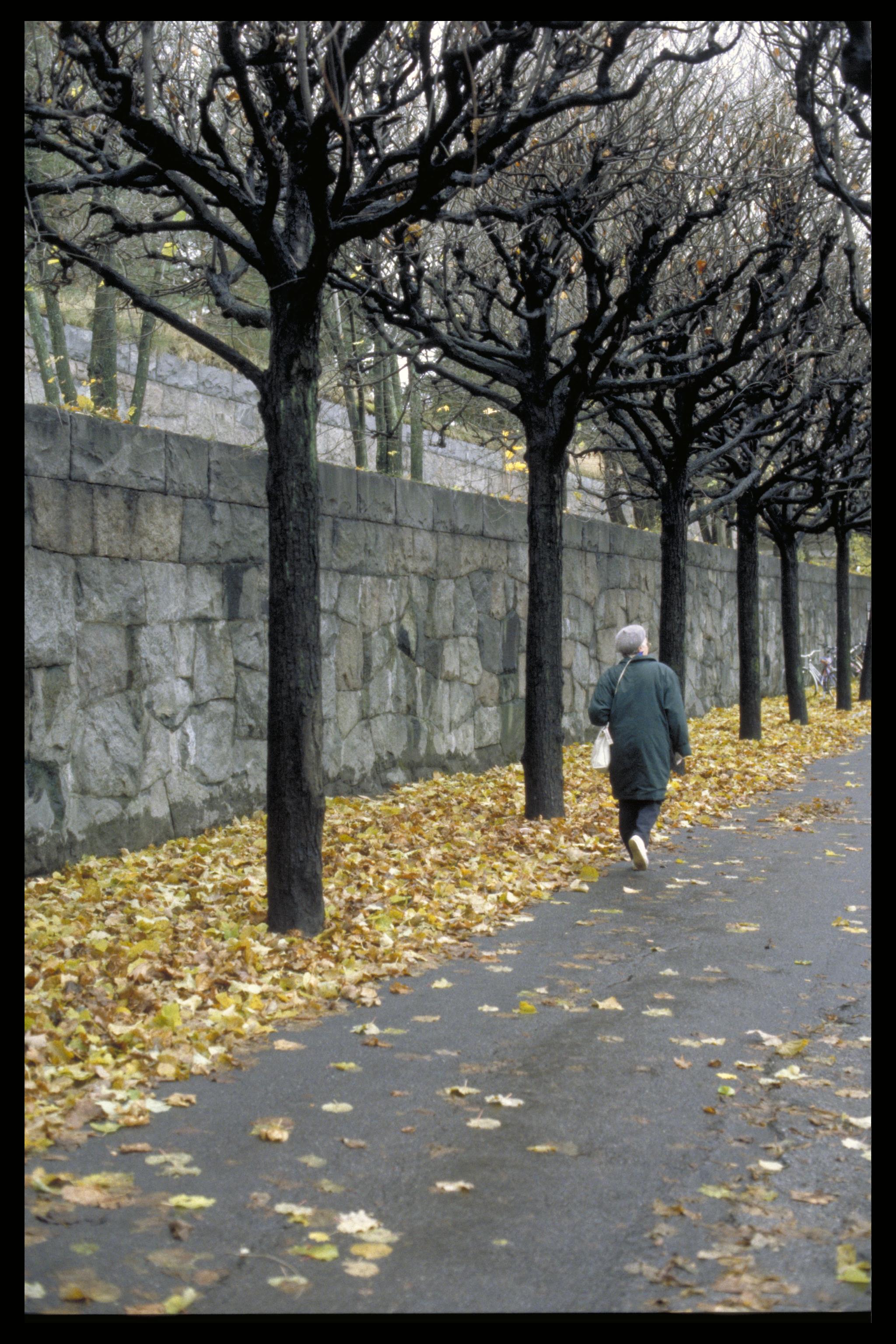 Bengt A Lundberg, Skogskyrkogården