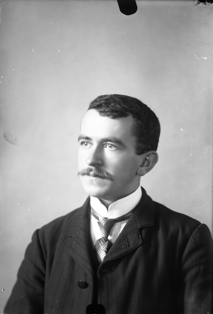 Oscar Holte, Portrett av mann