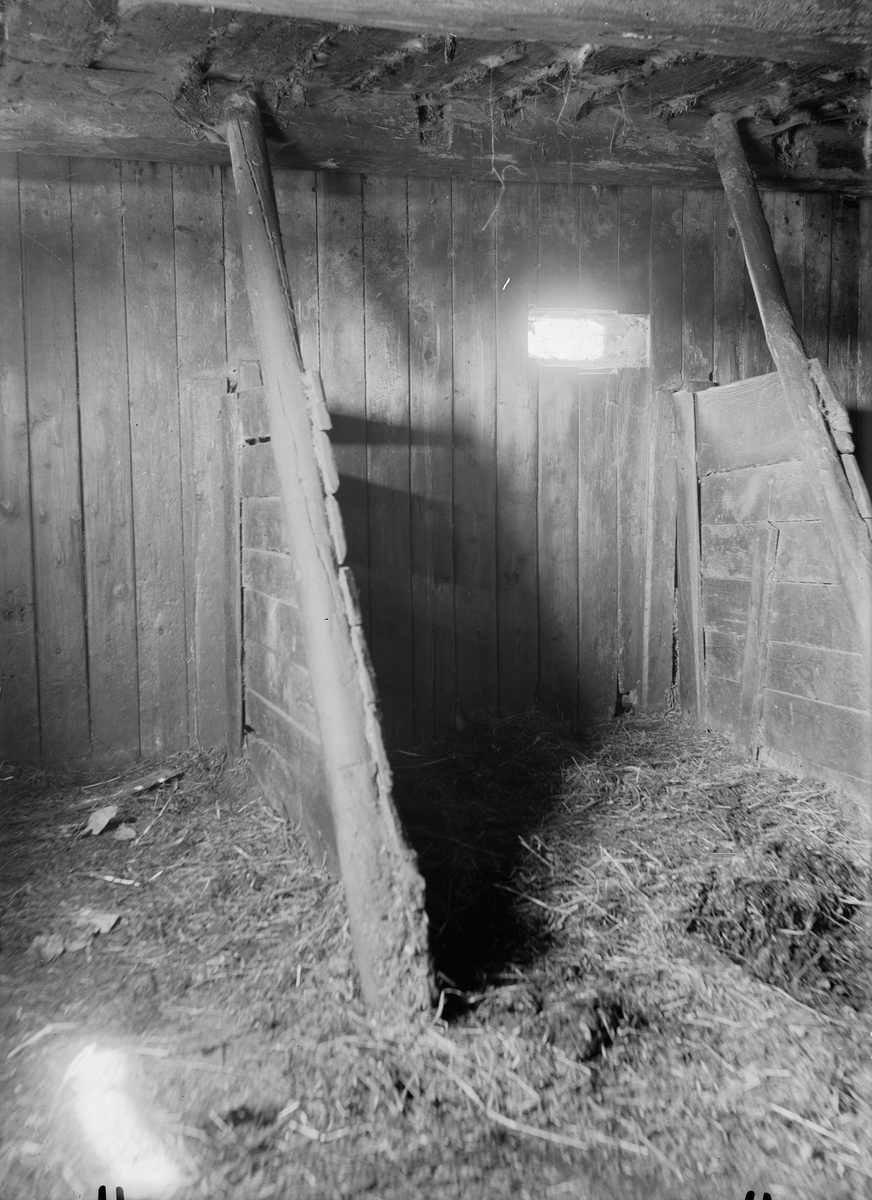 Paul Sandberg, Fähus - nu på friluftsmuseet Disagården - på ursprunglig plats, Lilla Bultebo, Tierps socken, Uppland 1930
