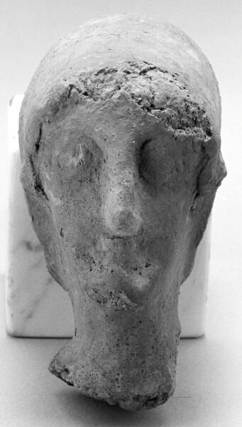 Unknown, Female Head