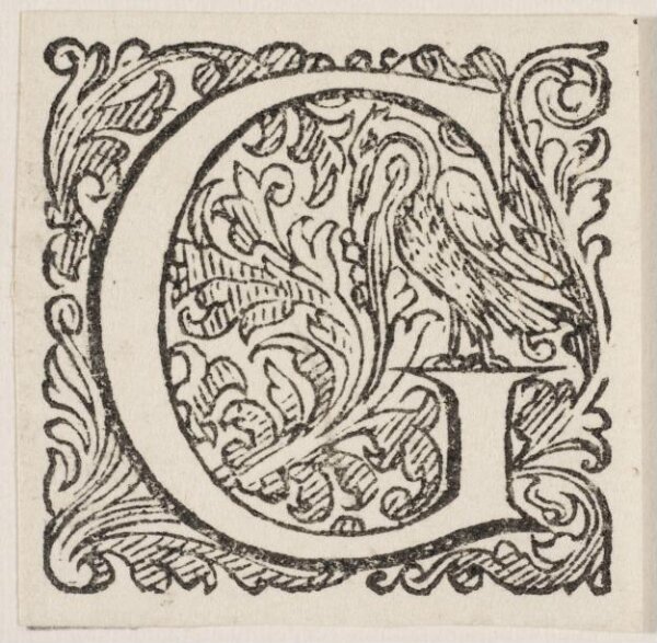 Unknown, Print