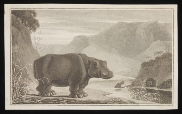 Unknown, Print