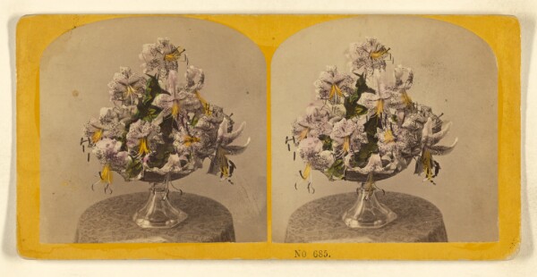 Benjamin West Kilburn, [Vase of flowers on a small table]