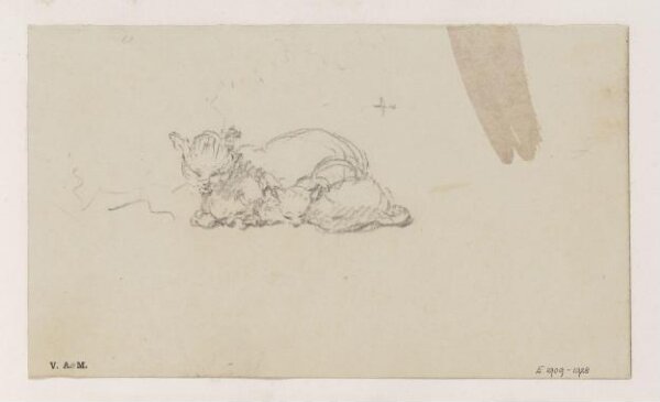 George Chinnery, A cat and kittens