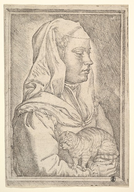 Jan Cornelisz Vermeyen, Girl with a Cat