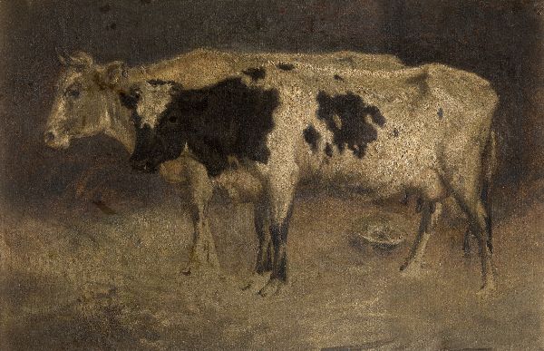 André Plumot, Cows