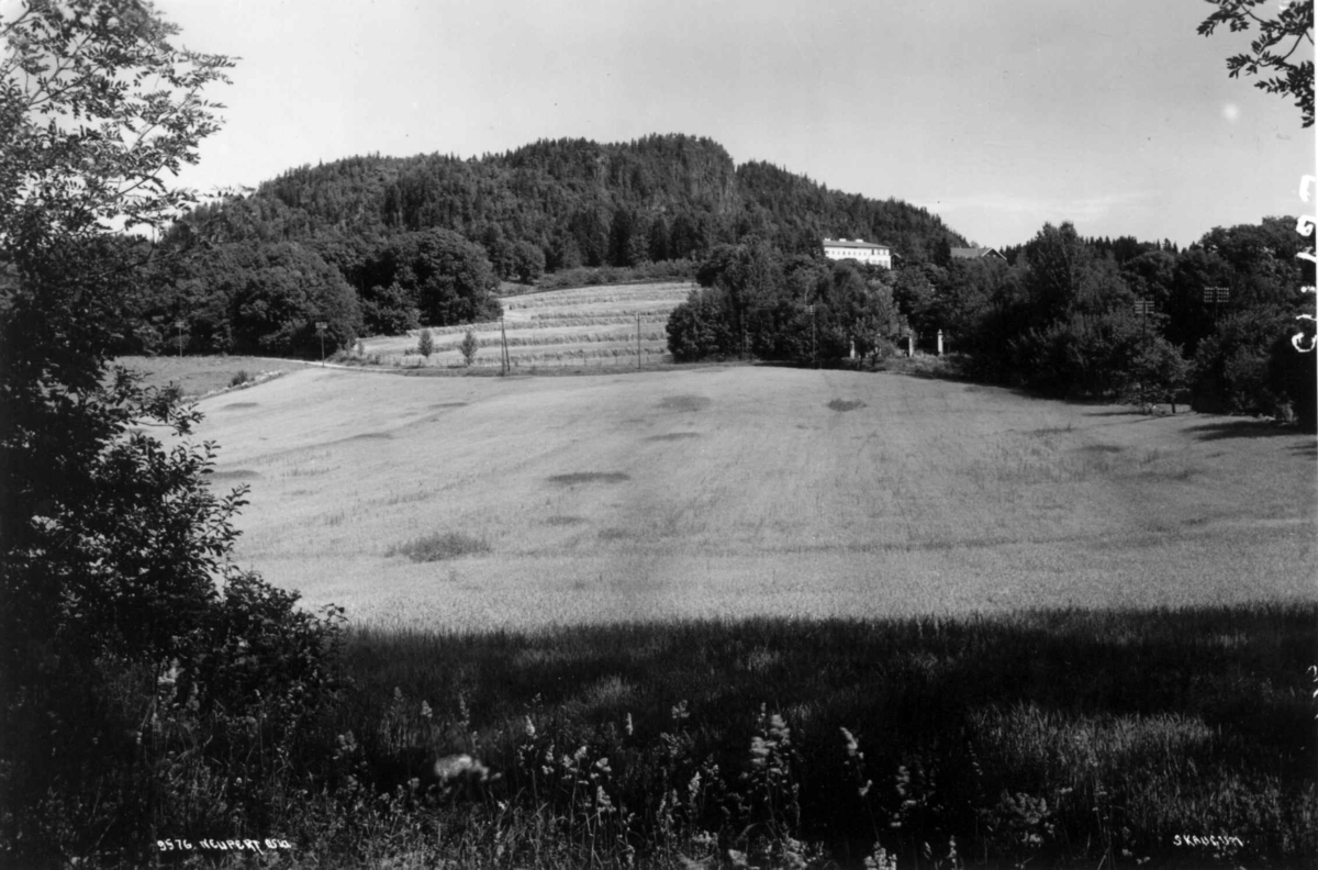 Hermann Christian Neupert, Skaugum, Asker, Akershus. 1932. Husene sett fra nedsiden. Landskap med jorder og skog.