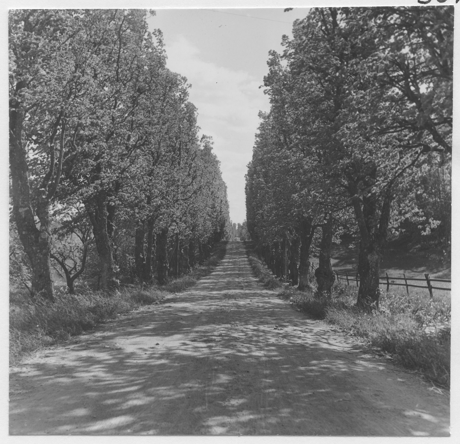 Mårten Sjöbeck, Danbyholms herrgård