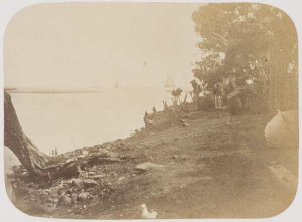 Kerr, Henry, Photograph