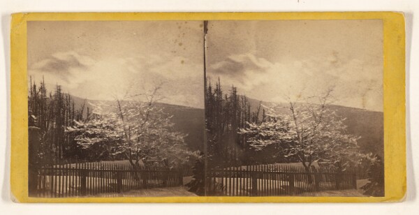 Edward and Henry T. Anthony & Co., Winter in the Catskills. [Ice and snow]