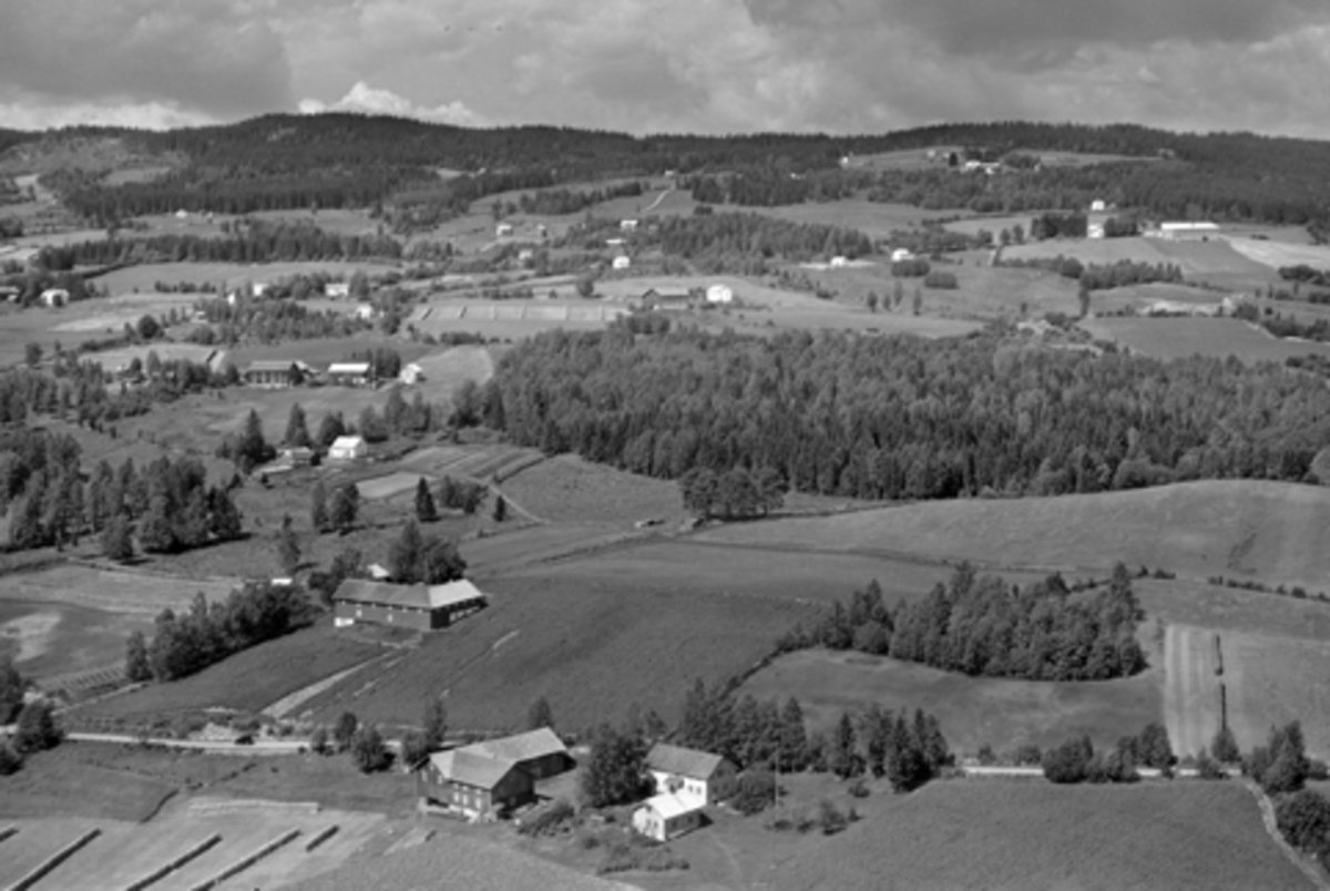 Anno Domkirkeodden, Flyfoto av gårdene Skjelset og Haugli i Furnes., Ringsaker.