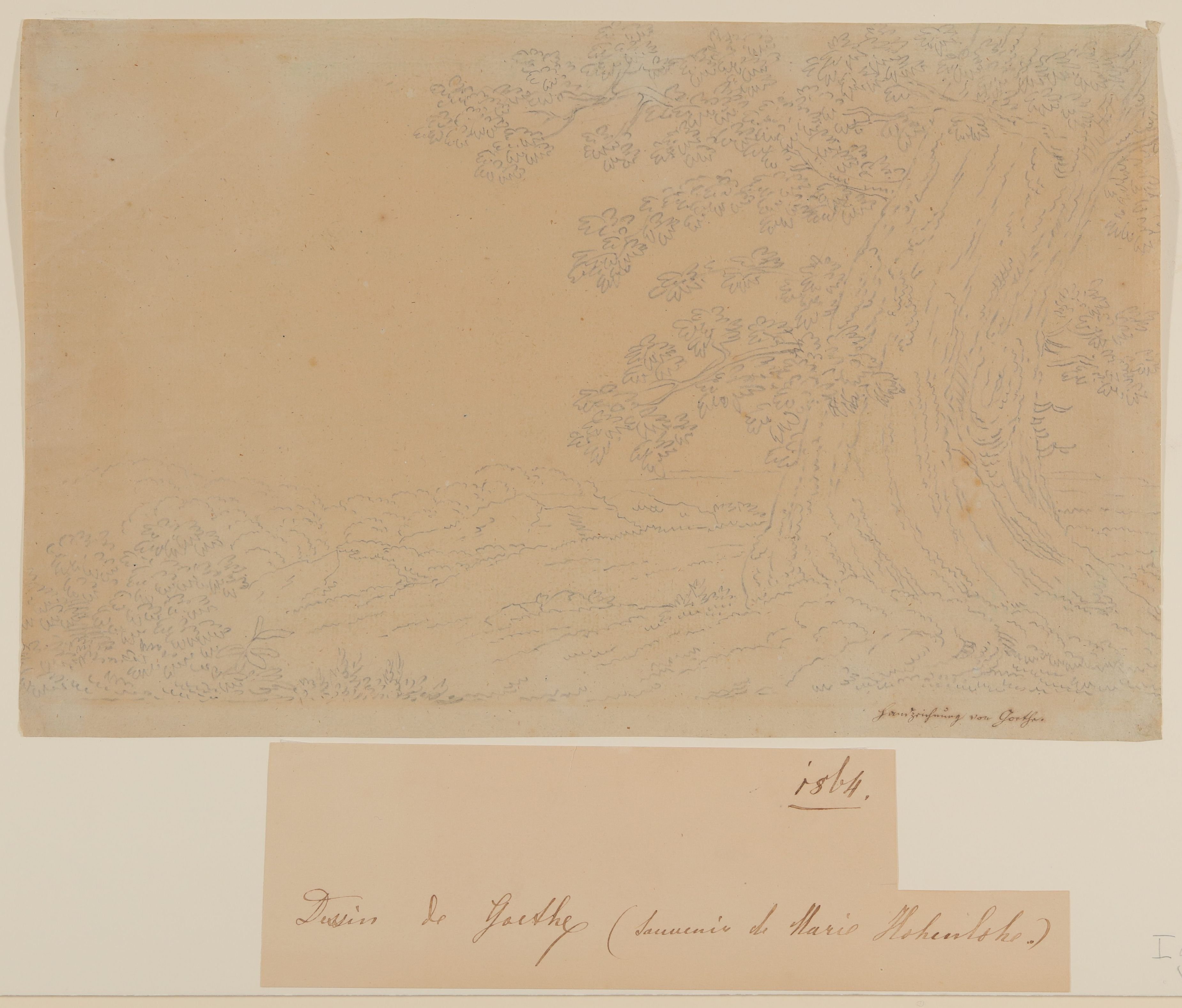 Johann Wolfgang von Goethe, Italienische Landschaft mit Edelkastanie [Studie in Philipp Hackerts Manier]