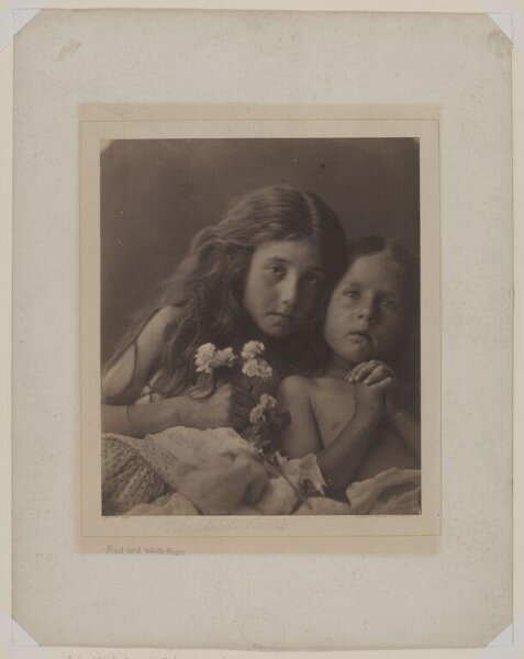 Cameron, Julia Margaret, The red & white Roses