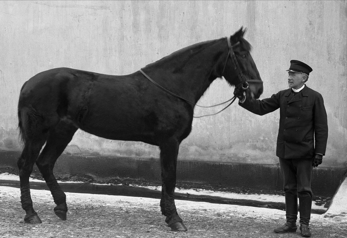 Gustav Borgen, Portrett, mann med ridehest.