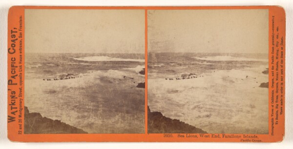 Carleton Watkins, Sea Lions, West End, Farallone [sic] Islands, Pacific Ocean.
