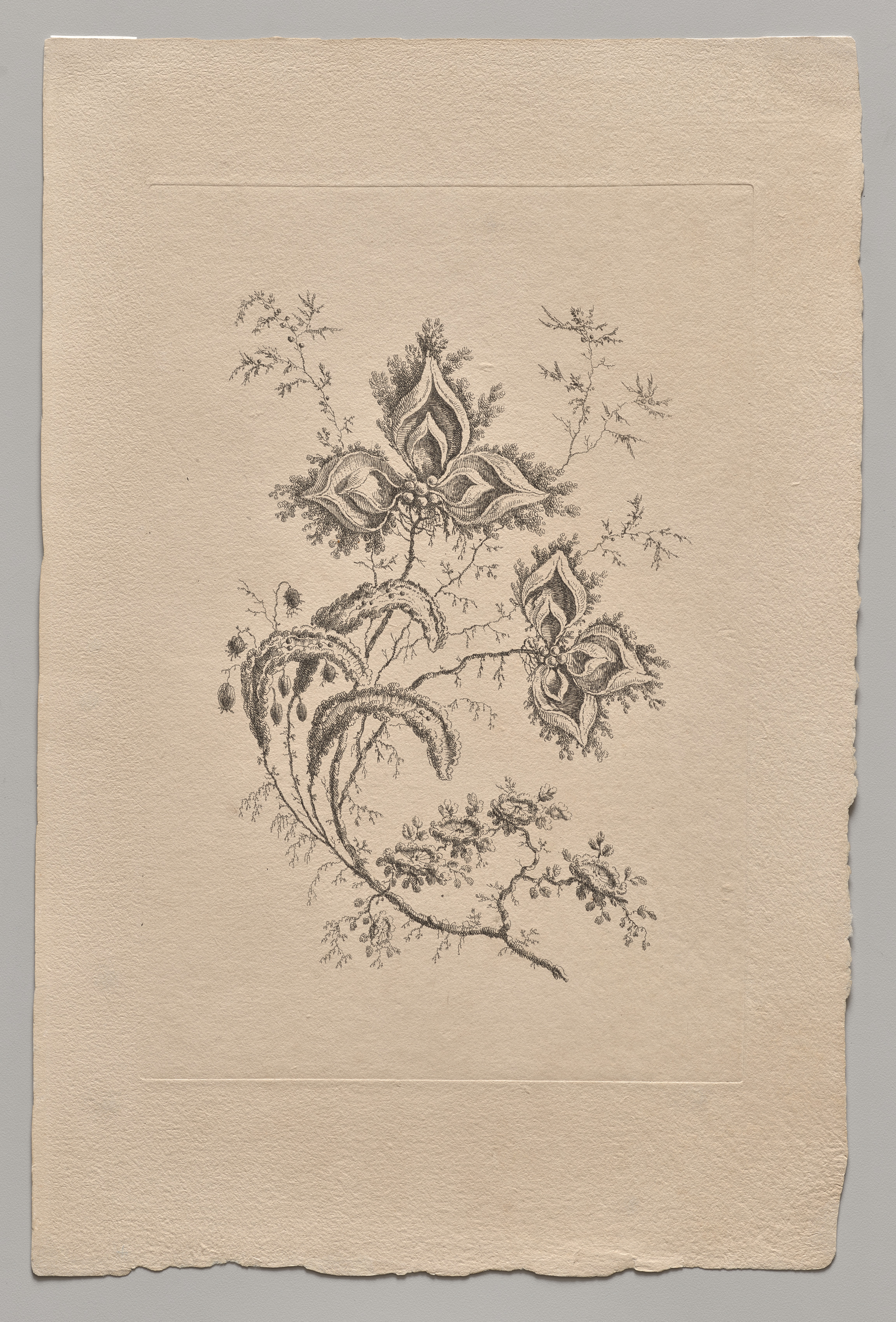 Jean Baptiste Pillement, Persian Flowers