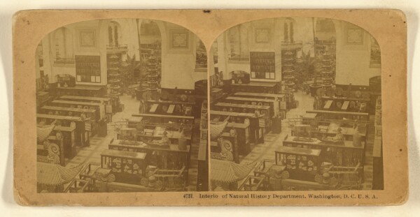 Benjamin West Kilburn, Interio[r] of Natural History Department, Washington, D.C. U.S.A.