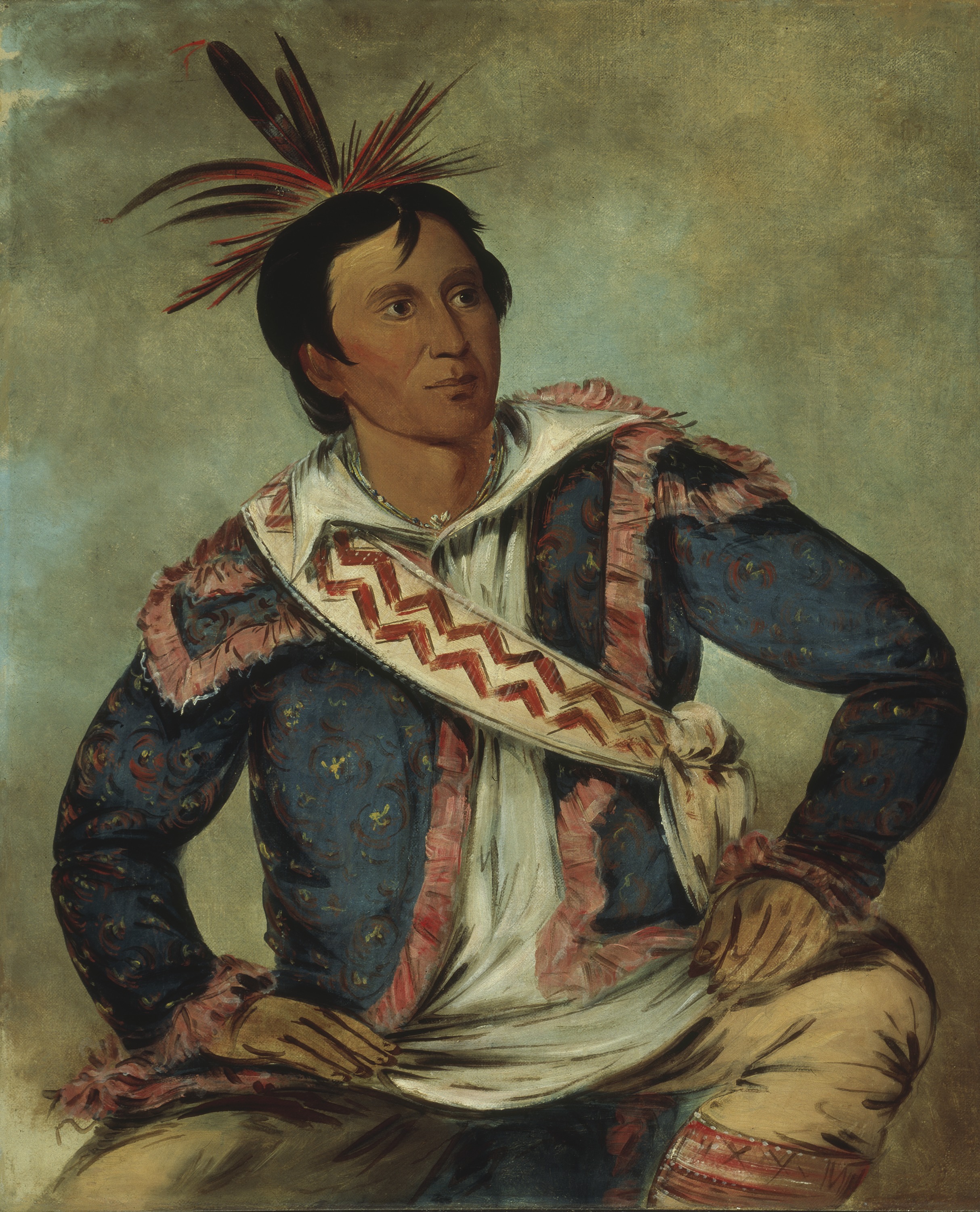 George Catlin, Há-tchoo-túc-knee, Snapping Turtle, a Half-breed