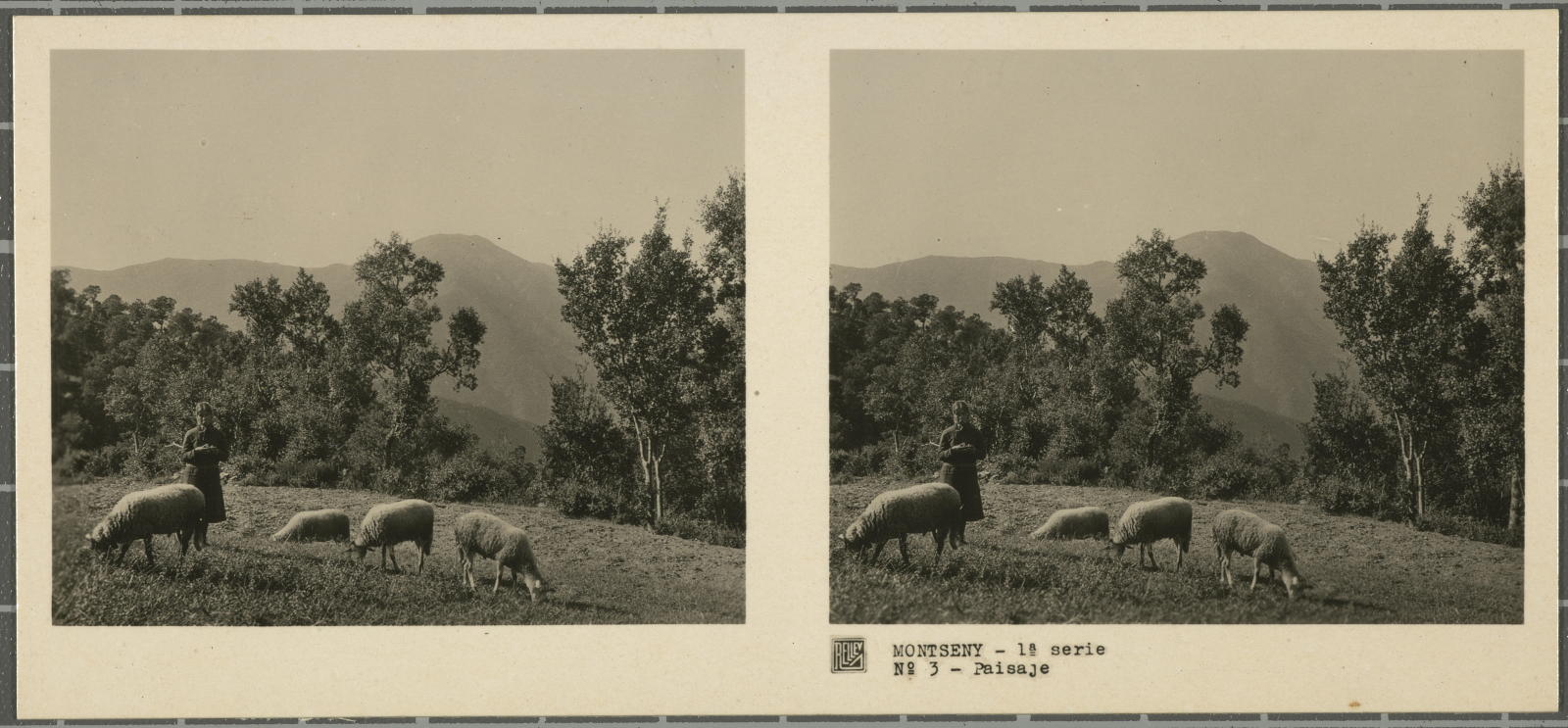 Desconegut, Montseny (Barcelona-Gerona)