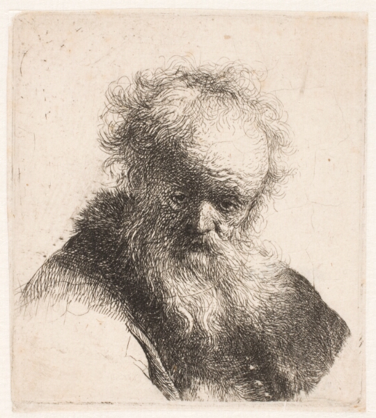 Rembrandt van Rijn, Hoved af en gammel mand