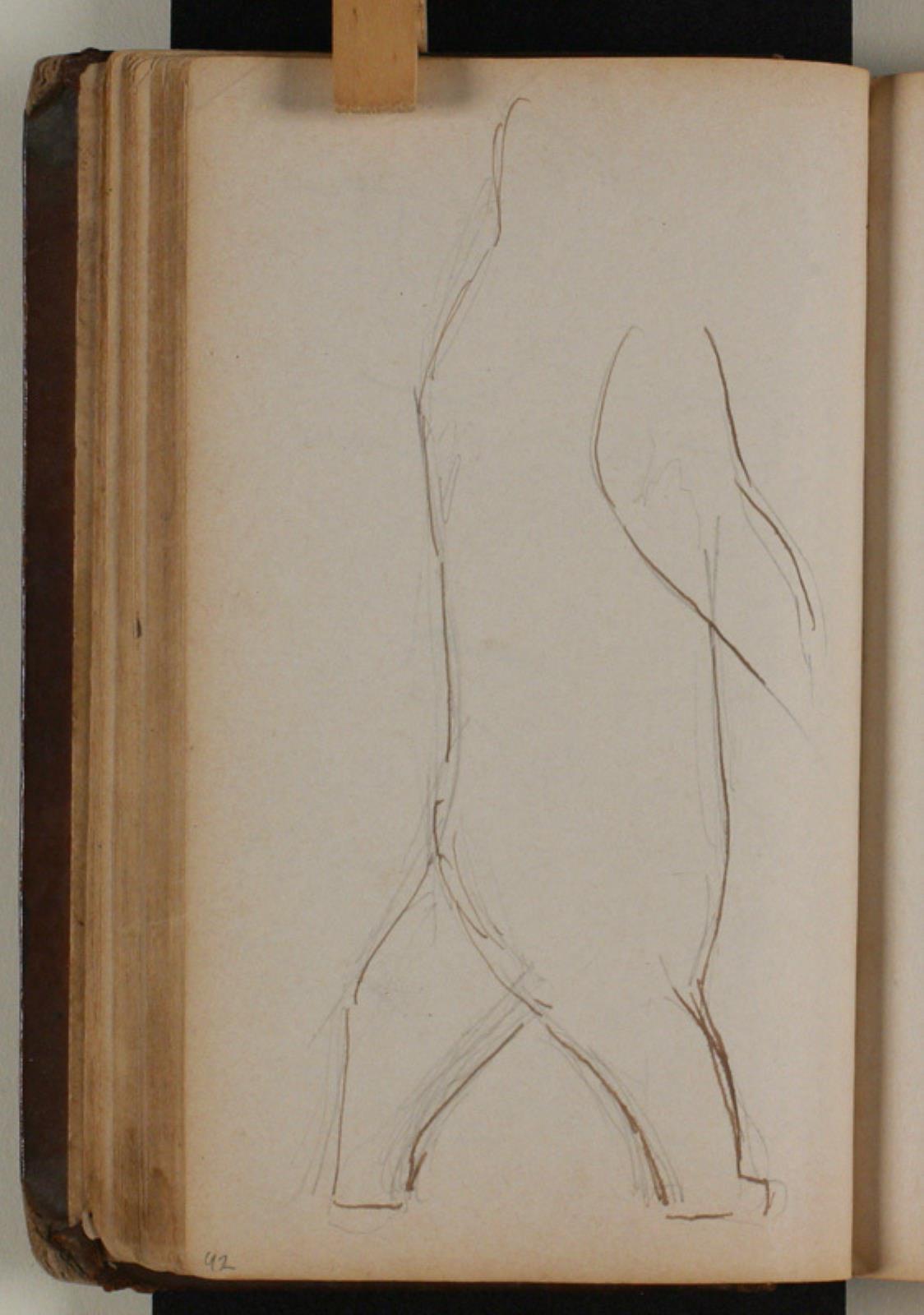 Niels Larsen Stevns, Studie af isbjørn