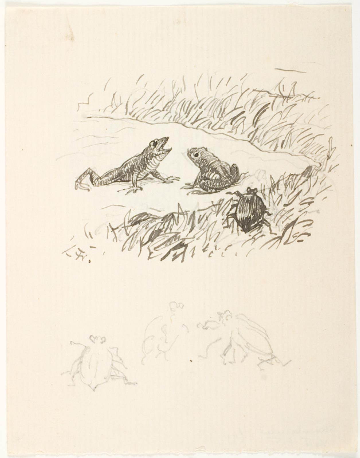 Lorenz Frølich, Illustrationsudkast til H.C. Andersen, Skarnbassen