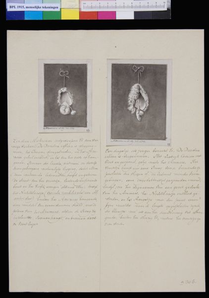 M Houtman, Embryo