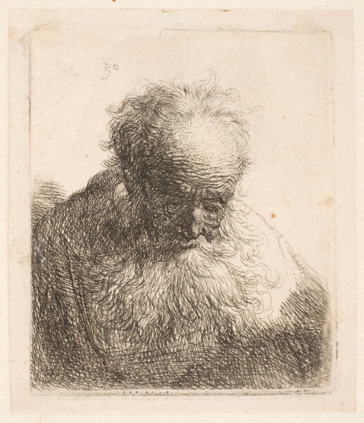 Rembrandt van Rijn, Foroverbøjet hoved af en gammel mand