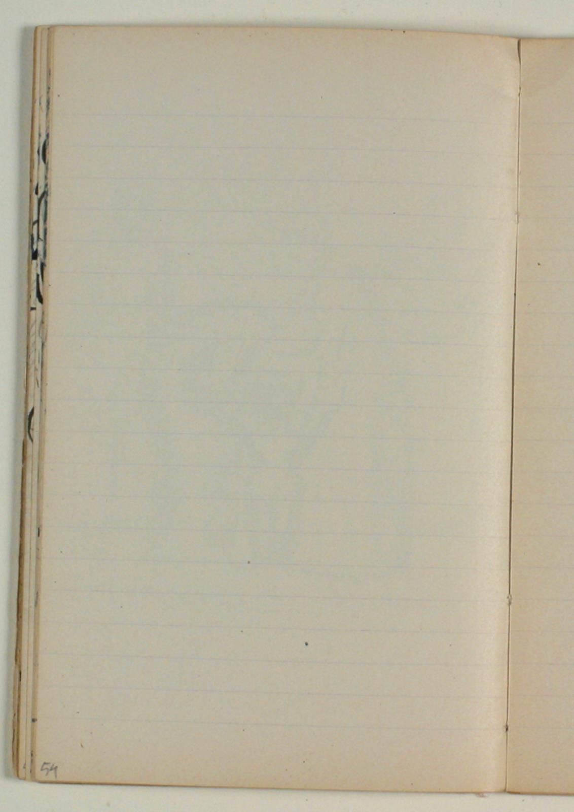 Niels Larsen Stevns, Blank