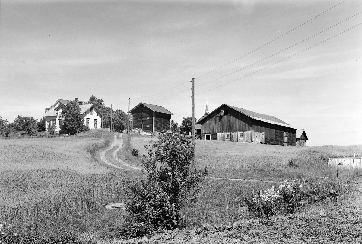 Anno Domkirkeodden, EKSTR: GARDSTUN, ENGELAUG ØSTRE. Se Løtenboka, bind 3. Bygdeboka fra 1955, side 372