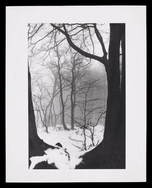 Hardy, Bert, Snow